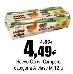 FROIZ COREN Huevo Campero categoría A clase M 12 u oferta