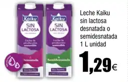 FROIZ KAIKU Leche sin lactosa desnatada o semidesnatada oferta