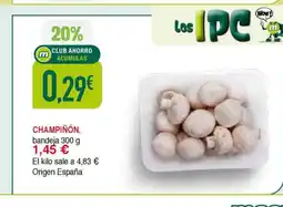 Masymas Champiñón, bandeja oferta