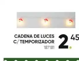 Family Cash Cadena de luces c/temporizador oferta