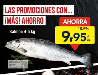Salmón