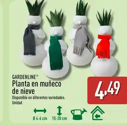 ALDI GARDENLINE Planta en muñeco de nieve oferta