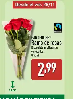 ALDI GARDENLINE Ramo de rosas oferta