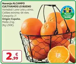 Dia Gallina blanca - caldo de cocido 100% natural 1 l oferta