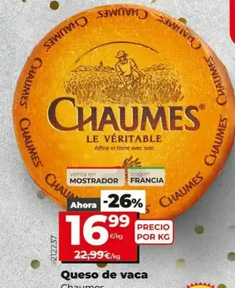 Maxi Dia Queso chaumes oferta