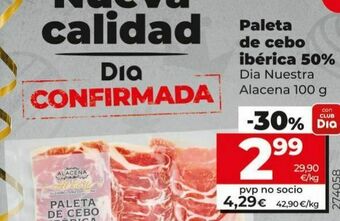 Paleta curada dia