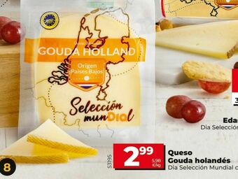 Dia Queso gouda dia oferta