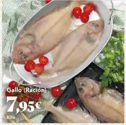 Gadis Gallo (Ración) oferta