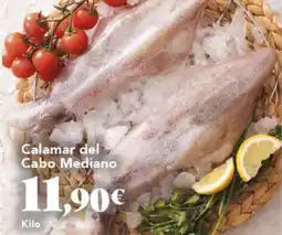Gadis Calamar del Cabo Mediano oferta