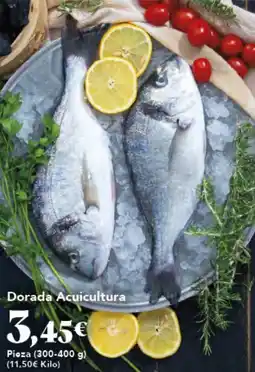 Gadis Dorada Acuicultura oferta