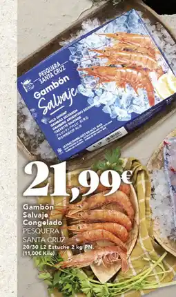 Gadis PESQUERA Gambón Salvajo Congelado oferta