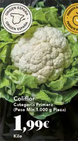 Gadis Coliflor oferta