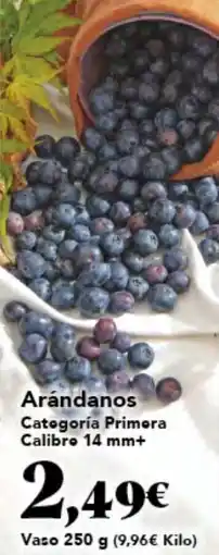 Gadis Arándanos oferta