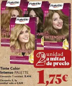 Gadis PALETTE Tinte Color Intenso oferta