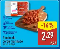 ALDI Pincho de cerdo marinado oferta