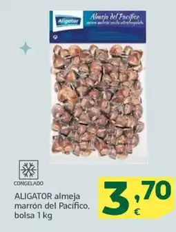 HiperDino ALIGATOR almeja marrón del Pacífico, bolsa oferta