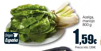 Unide Market Acelga, manojo oferta