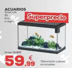 Small life - acuarios