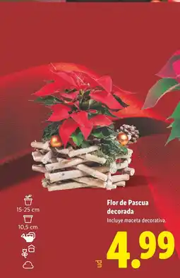 Lidl Flor de Pascua decorada oferta