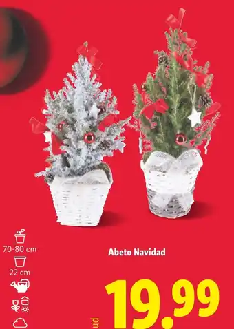 Lidl Abeto Navidad oferta