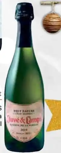 Cash Ifa JUVÉ CAMPS Cava brut nature reserva familia oferta