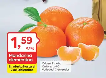 Mandarina clementina