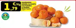 Alcampo Alcampo - mandarina granel alcampo oferta