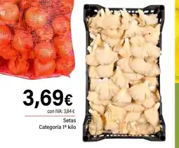 Cash Ifa Setas oferta