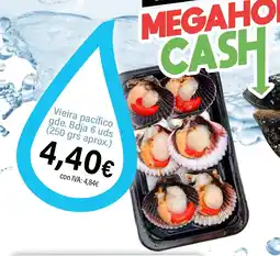 Cash Ifa Vieira pacífico gde. Bdja 6 uds oferta