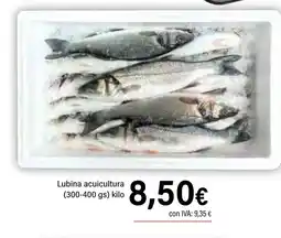 Cash Ifa Lubina acuicultura oferta