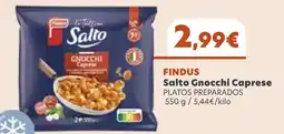 FROIZ FINDUS Salto Gnocchi Caprese oferta