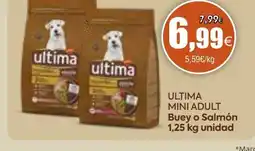 FROIZ ULTIMA Mini adult oferta