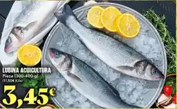 Gadis Lubina acuicultura oferta