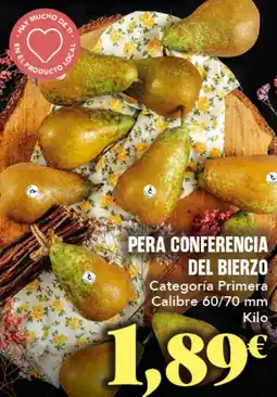 Gadis Pera conferencia del bierzo oferta