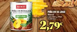 Gadis NORVI Piña en su jugo oferta