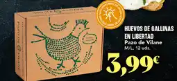 Gadis PAZO DE VILANE Huevos de gallinas en libertad oferta