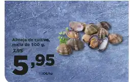 Alimerka Almeja de cultivo oferta