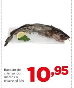 Alimerka Bacalao de crianza, por medios o entero oferta