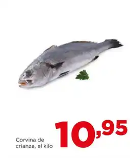 Alimerka Corvina de crianza oferta