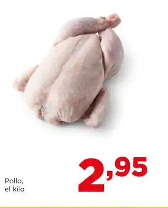 Pollo