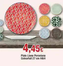 Hiper FROIZ Plato Llano Porcelana Colourfull H&H oferta