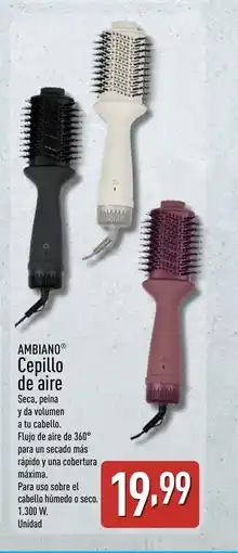 ALDI AMBIANO Cepillo de aire oferta