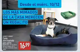 ALDI CACHET Y ROMEO Cama aterciopelada para perro oferta