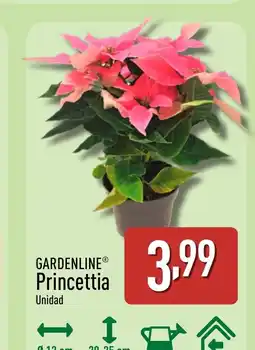 ALDI GARDENLINE Princettia oferta