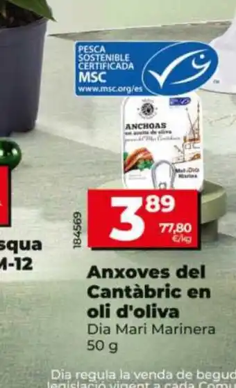 Anxoves del Cantàbric en oli d'oliva