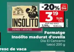 Dia Formatge Insólito madurat d'ovella oferta