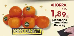 FROIZ Mandarina Clementina Bollo oferta