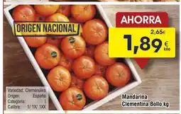 FROIZ Mandarina Clementina Bollo oferta
