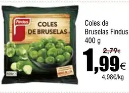 FROIZ FINDUS Coles de Bruselas oferta