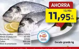 FROIZ Dorada grande oferta